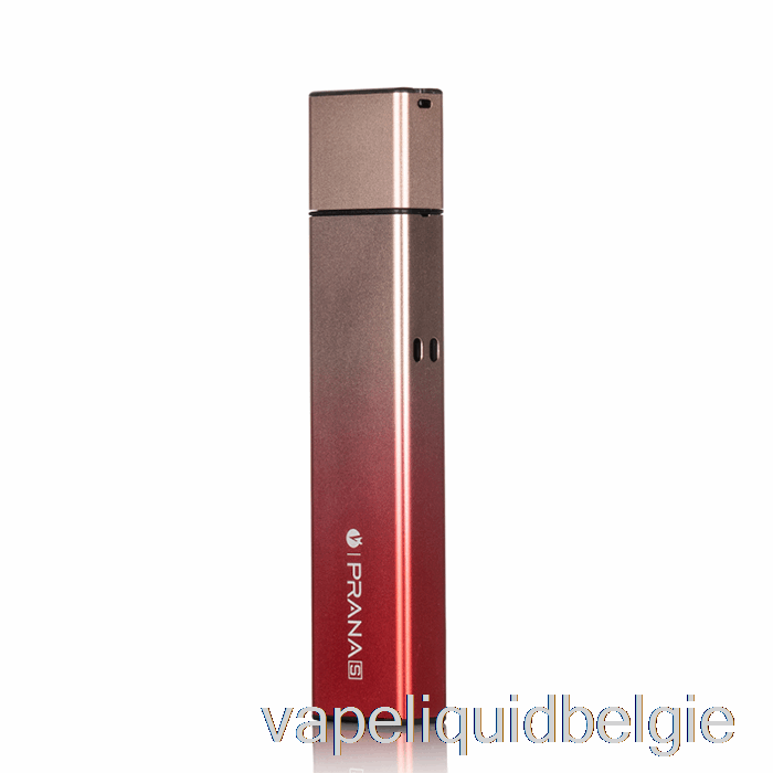 Vape België Lost Vape Prana S 12w Pod-systeem Fantasie Roze